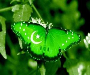 пазл Флаг Пакистана